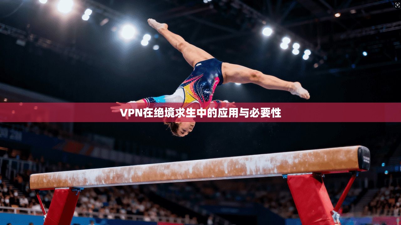 VPN在绝境求生中的应用与必要性 第1张 VPN在绝境求生中的应用与必要性 第1张