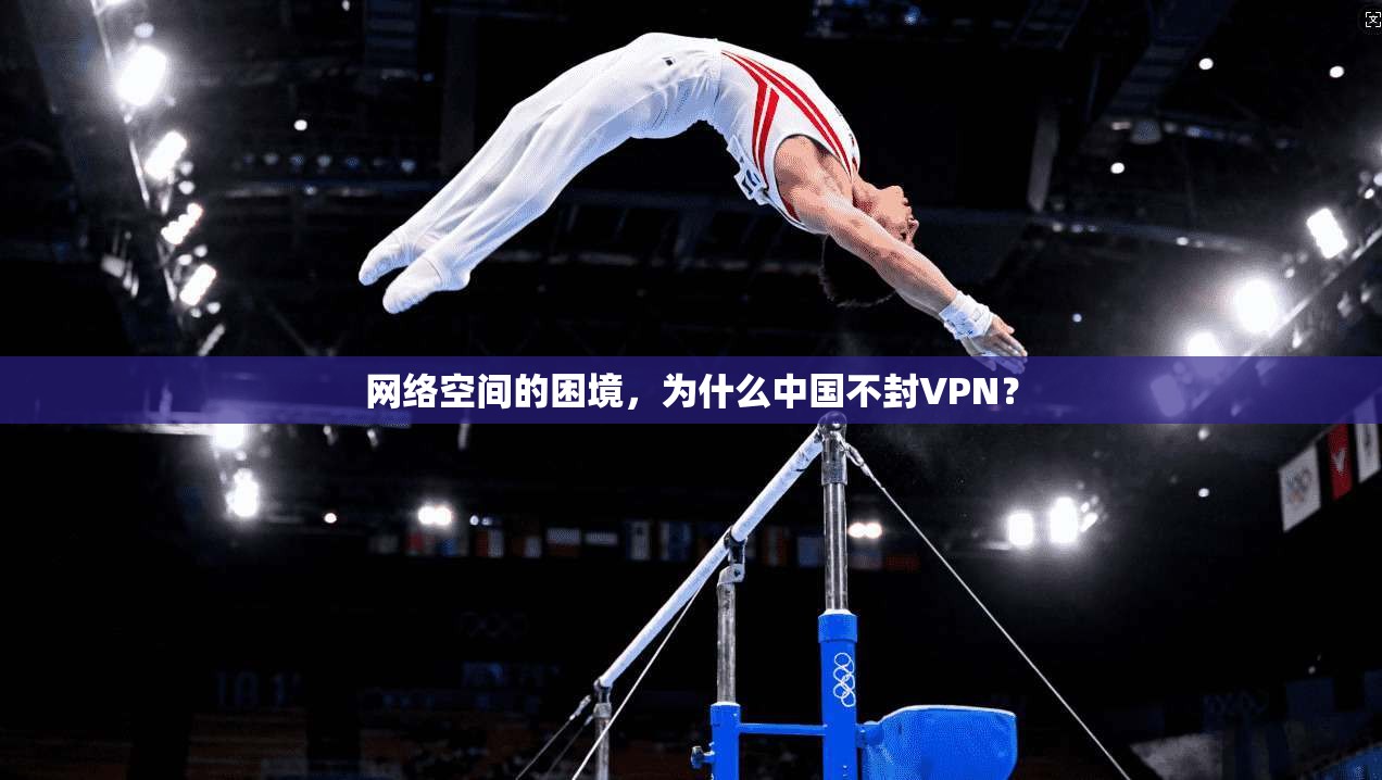 网络空间的困境，为什么中国不封VPN？  第1张