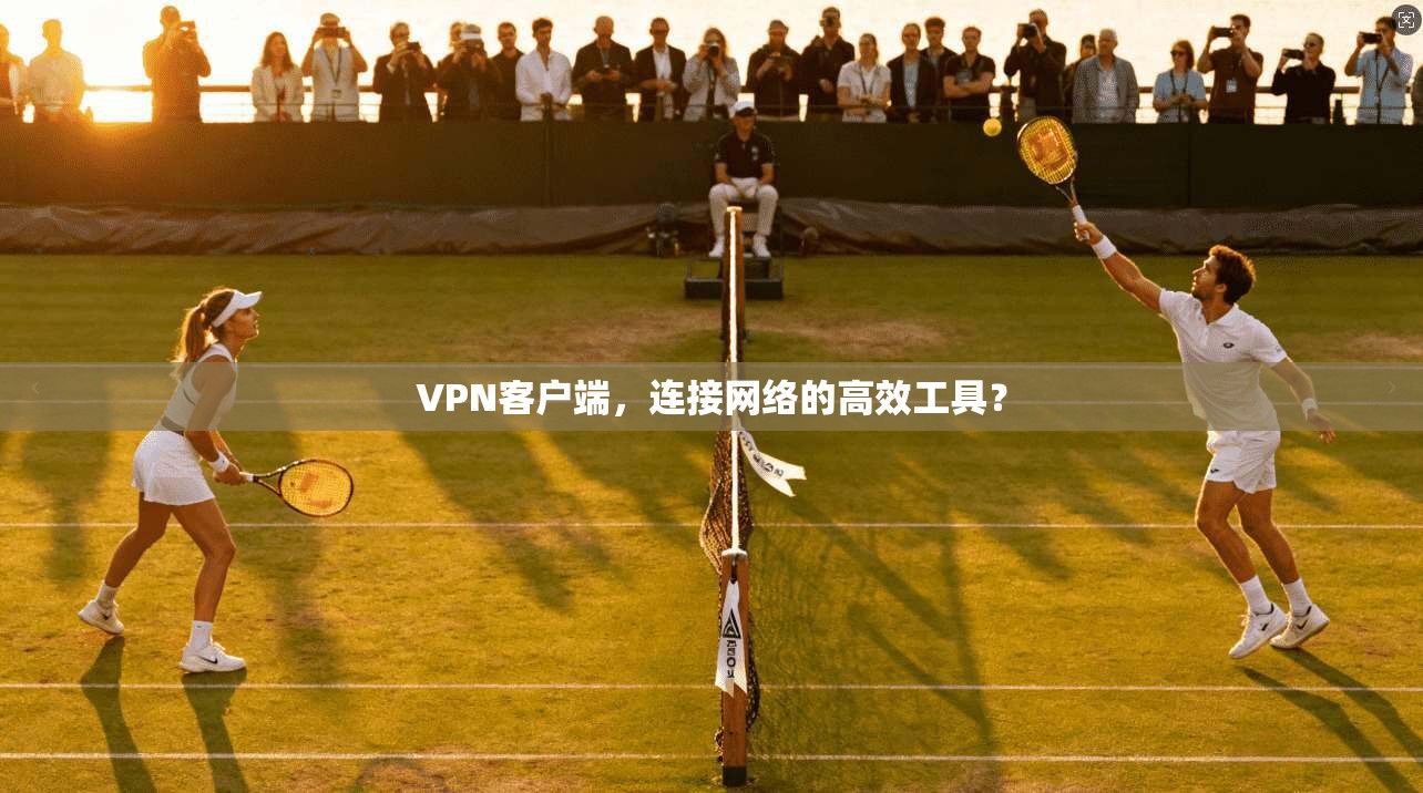 VPN客户端,连接网络的高效工具? 第1张 VPN客户端,连接网络的高效工具? 第1张