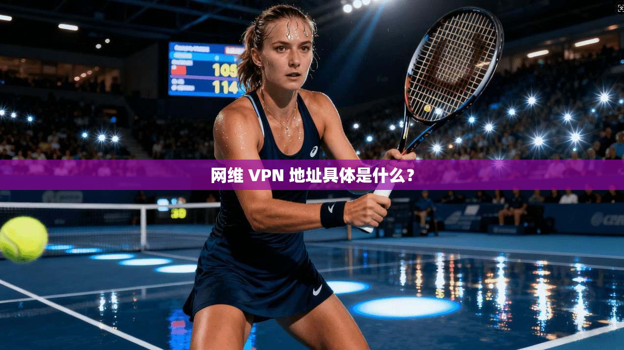 网维 VPN 地址具体是什么? 第1张 网维 VPN 地址具体是什么? 第1张