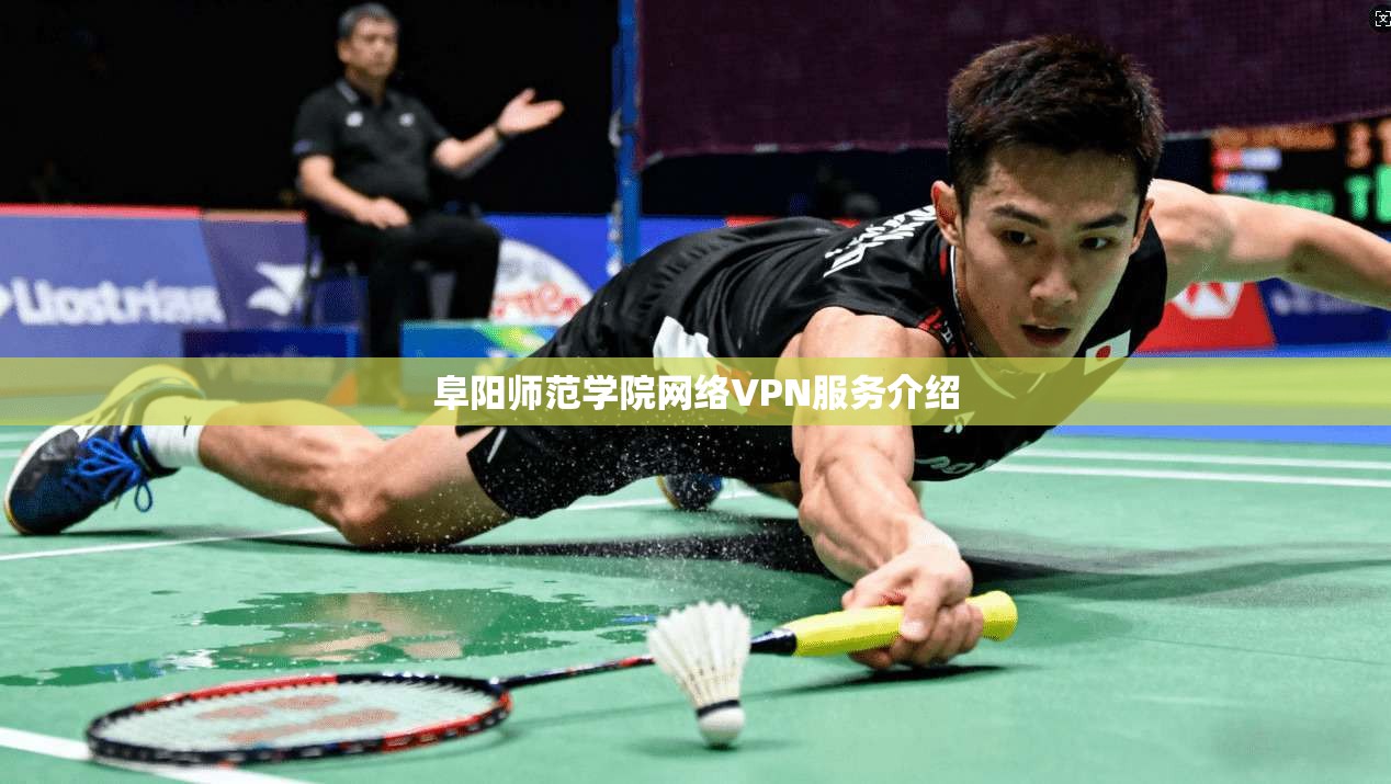 阜阳师范学院网络VPN服务介绍  第1张