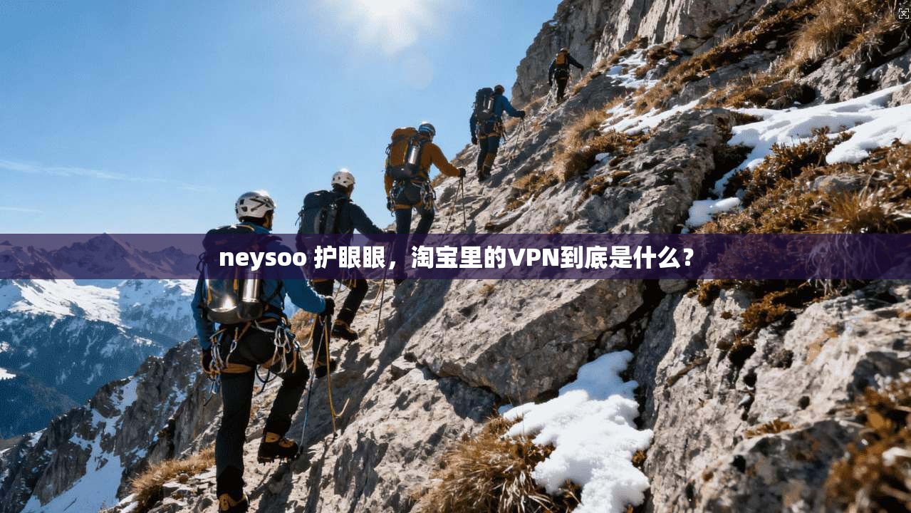 neysoo 护眼眼，淘宝里的VPN到底是什么？  第1张