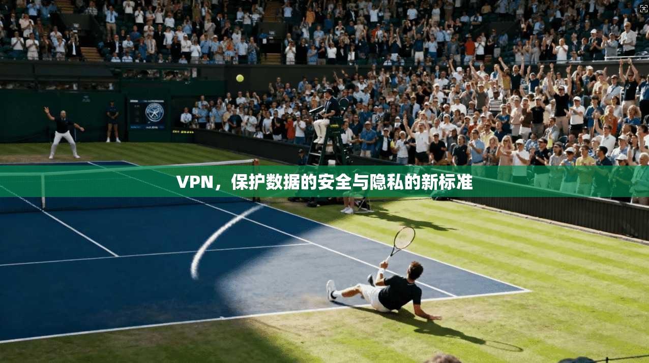 VPN，保护数据的安全与隐私的新标准  第1张