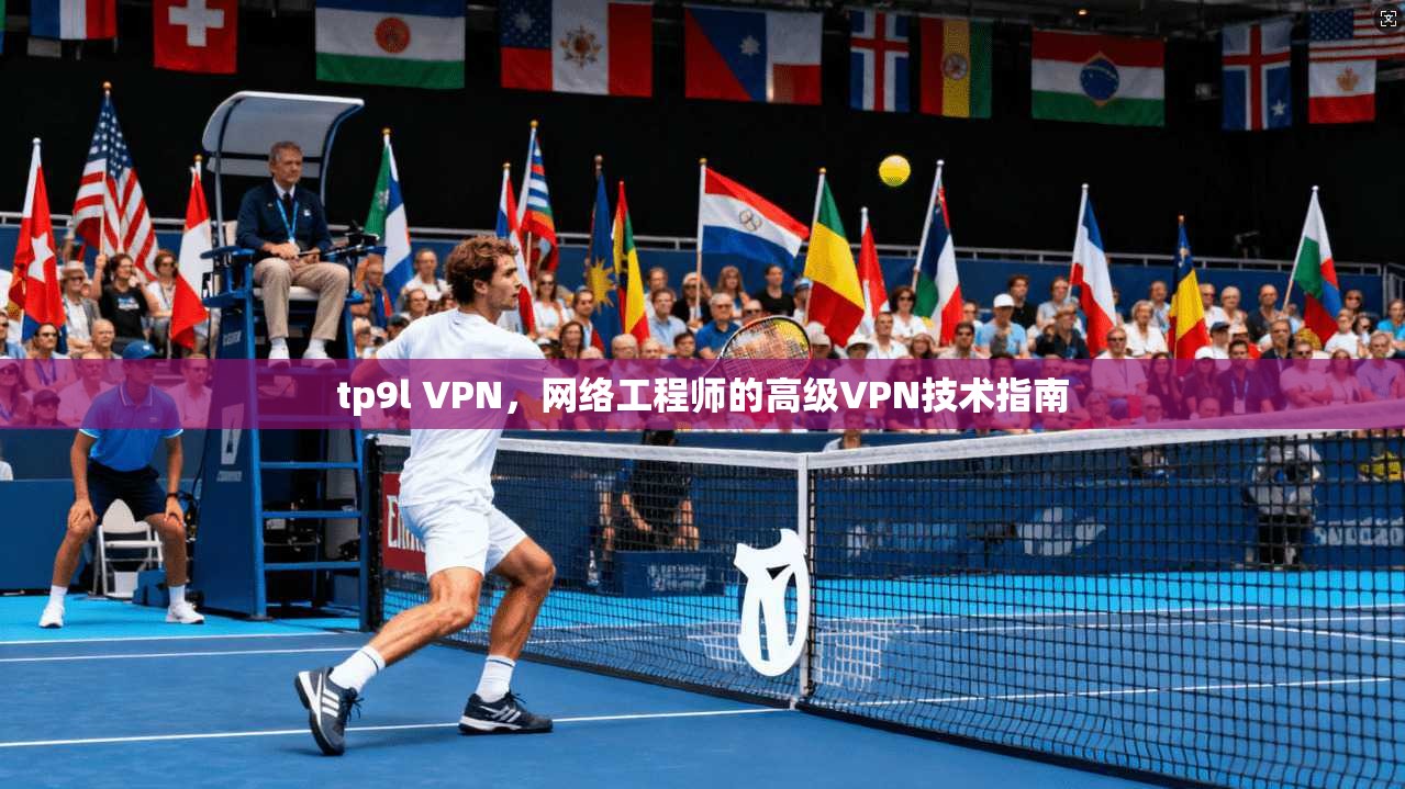 tp9l VPN，网络工程师的高级VPN技术指南  第1张