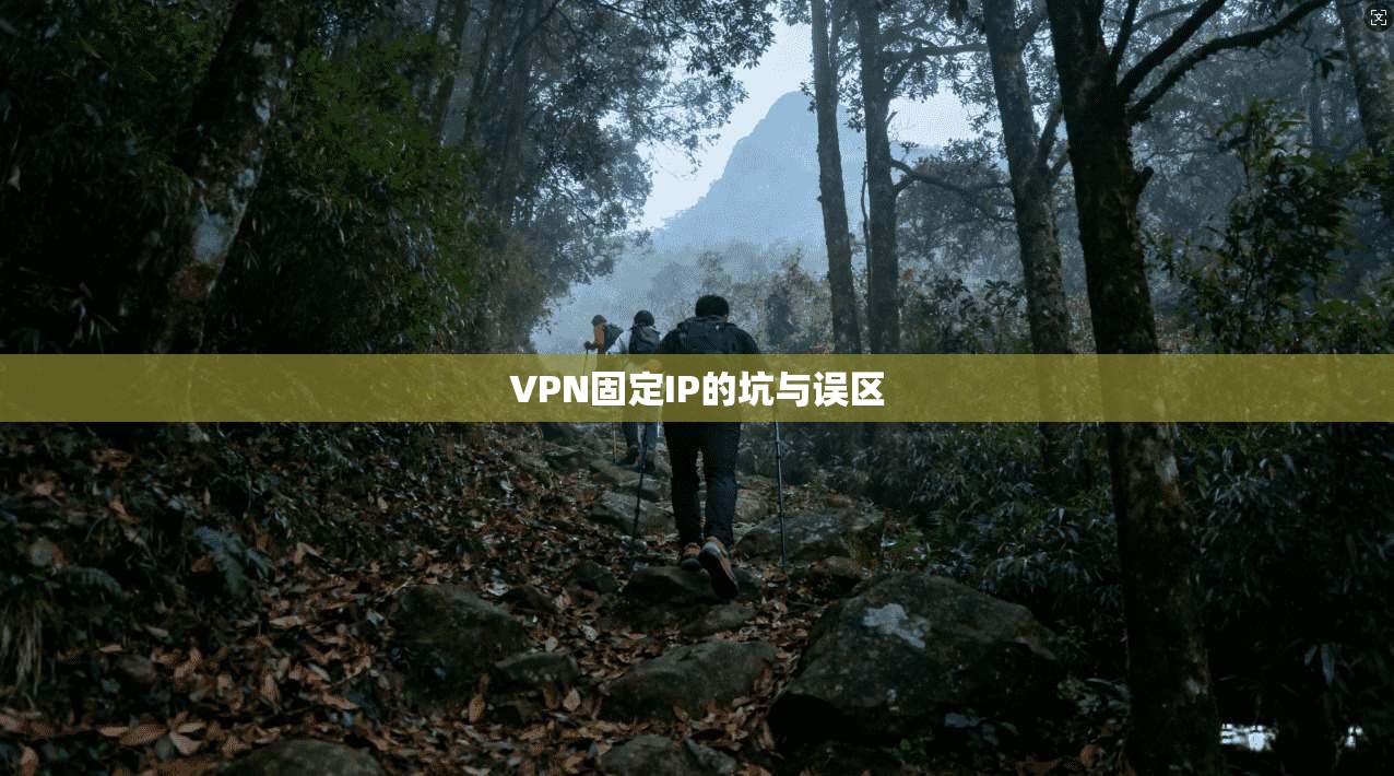 VPN固定IP的坑与误区 第1张 VPN固定IP的坑与误区 第1张