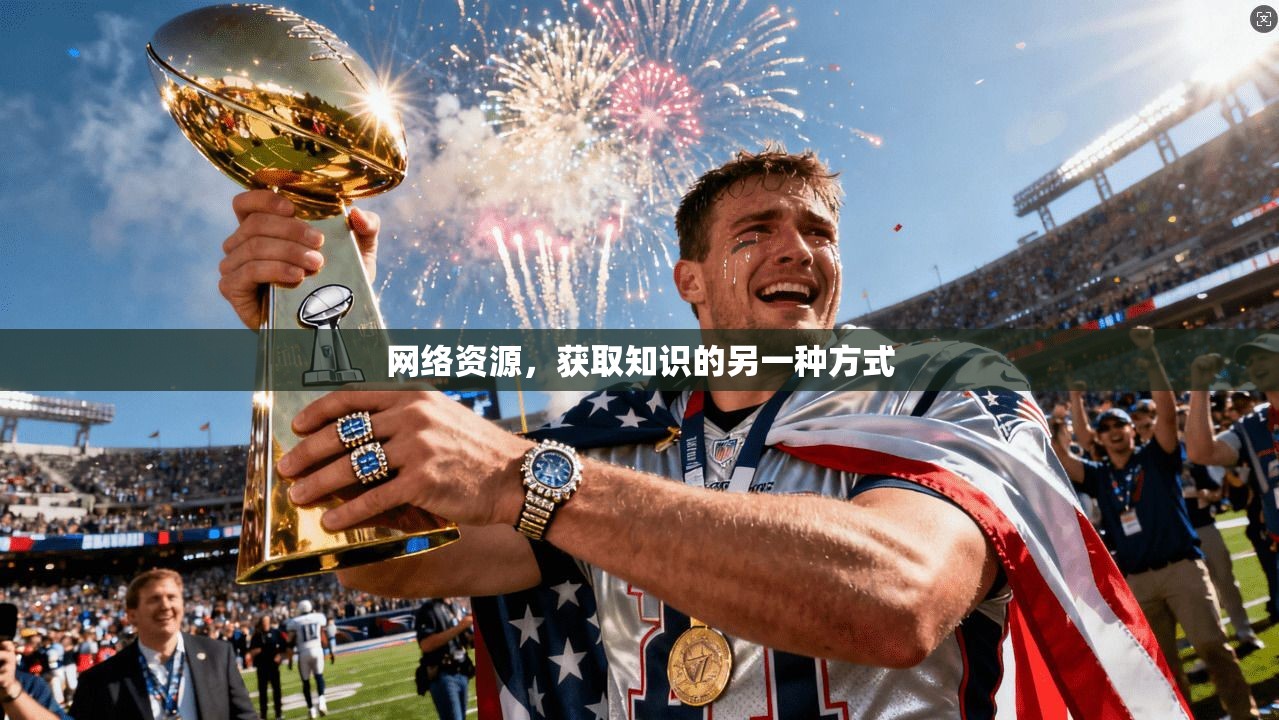 网络资源,获取知识的另一种方式 第1张 网络资源,获取知识的另一种方式 第1张
