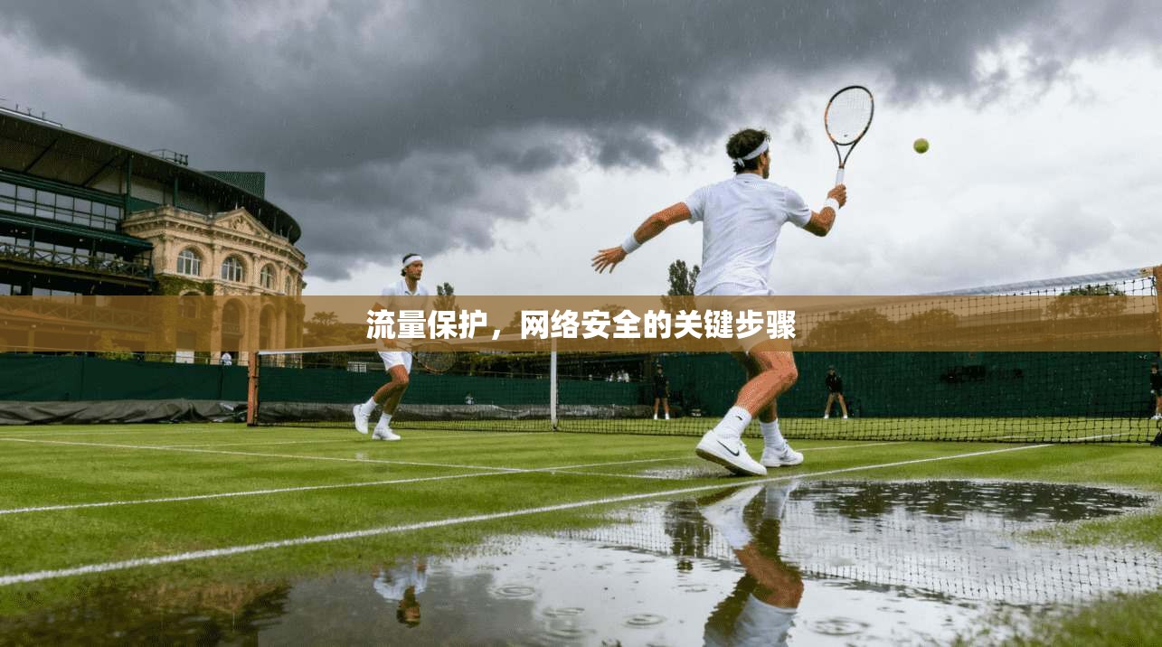 流量保护，网络安全的关键步骤  第1张