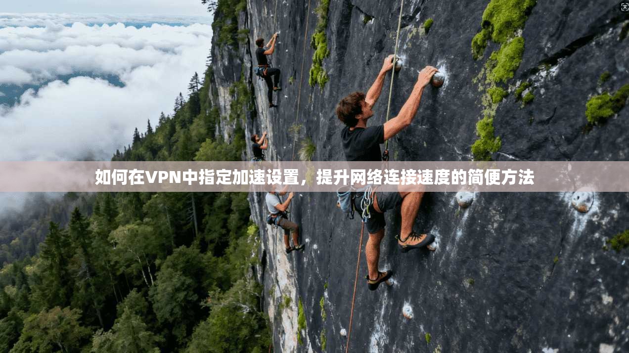 如何在VPN中指定加速设置，提升网络连接速度的简便方法  第1张