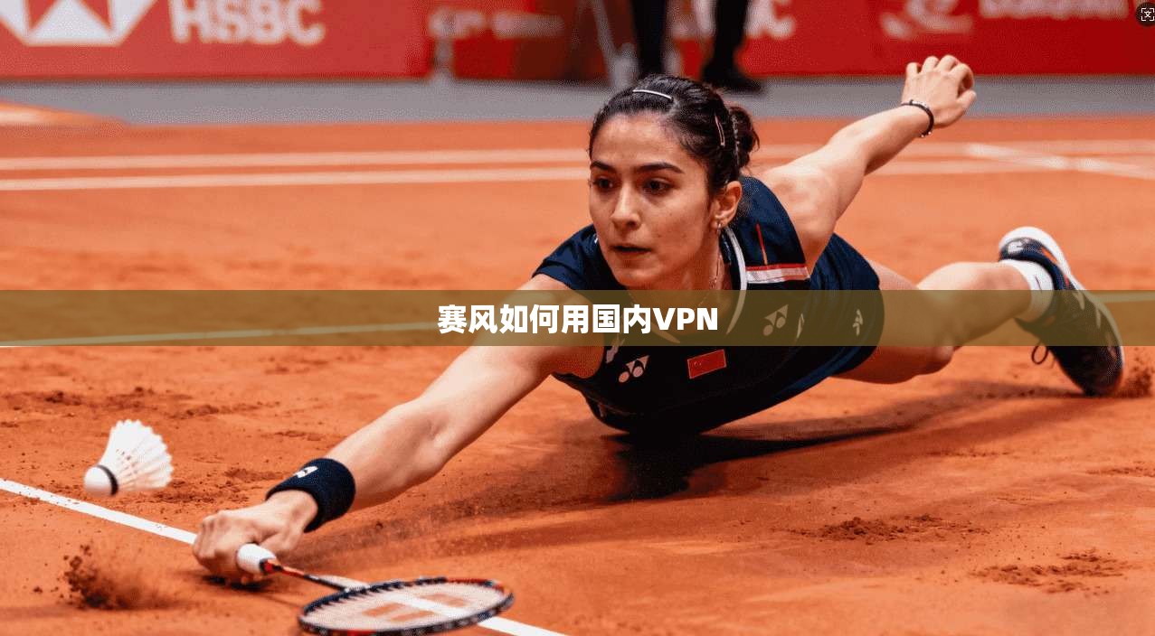 赛风如何用国内VPN  第1张
