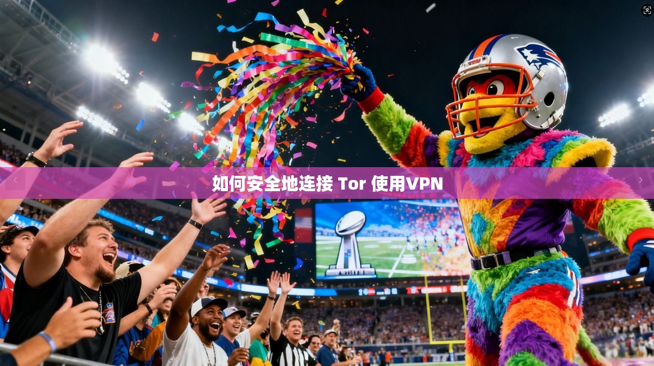 如何安全地连接 Tor 使用VPN 第1张 如何安全地连接 Tor 使用VPN 第1张