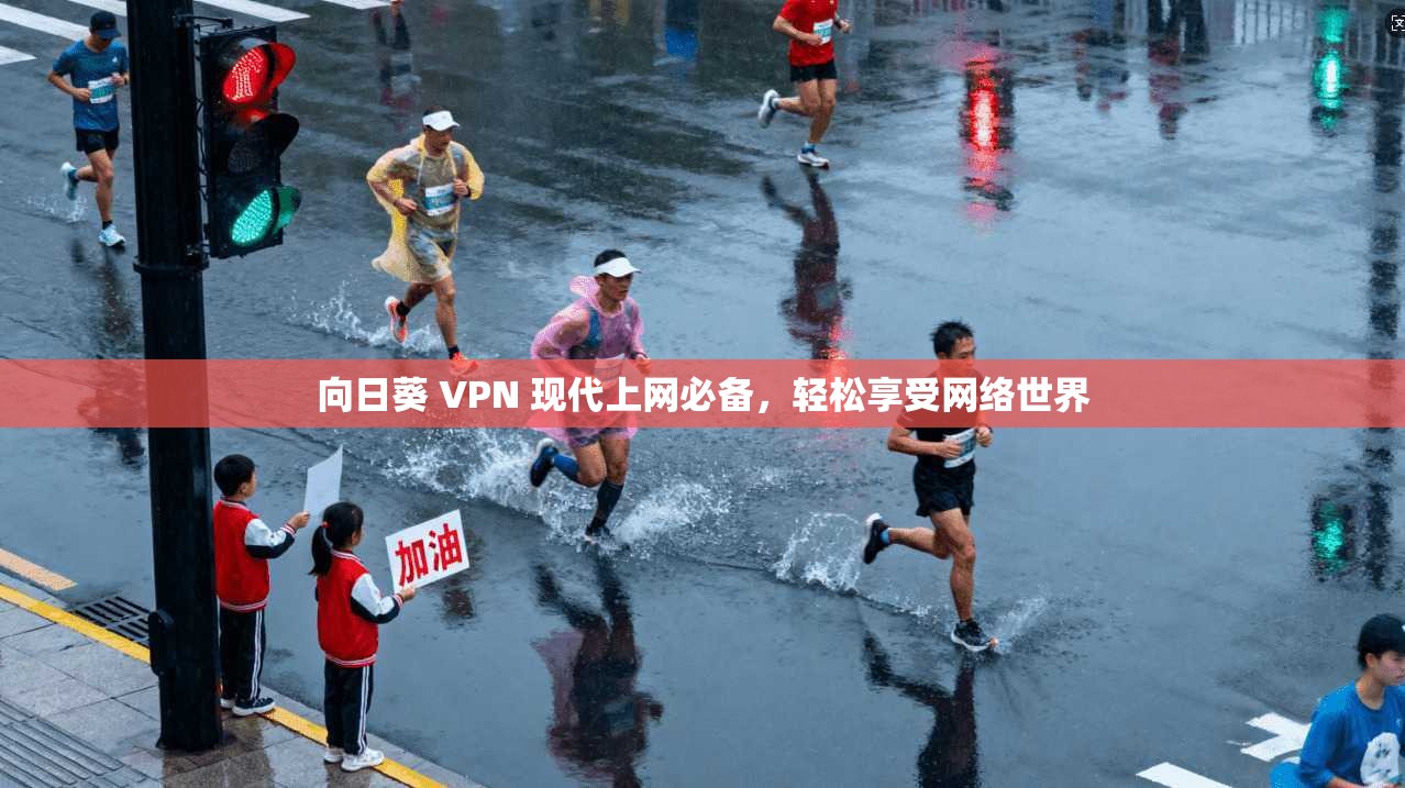 向日葵 VPN 现代上网必备,轻松享受网络世界