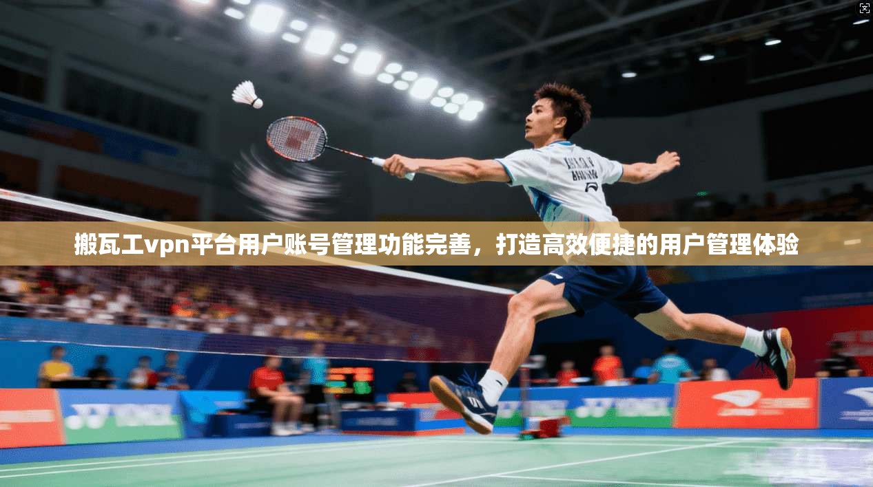 搬瓦工vpn平台用户账号管理功能完善，打造高效便捷的用户管理体验