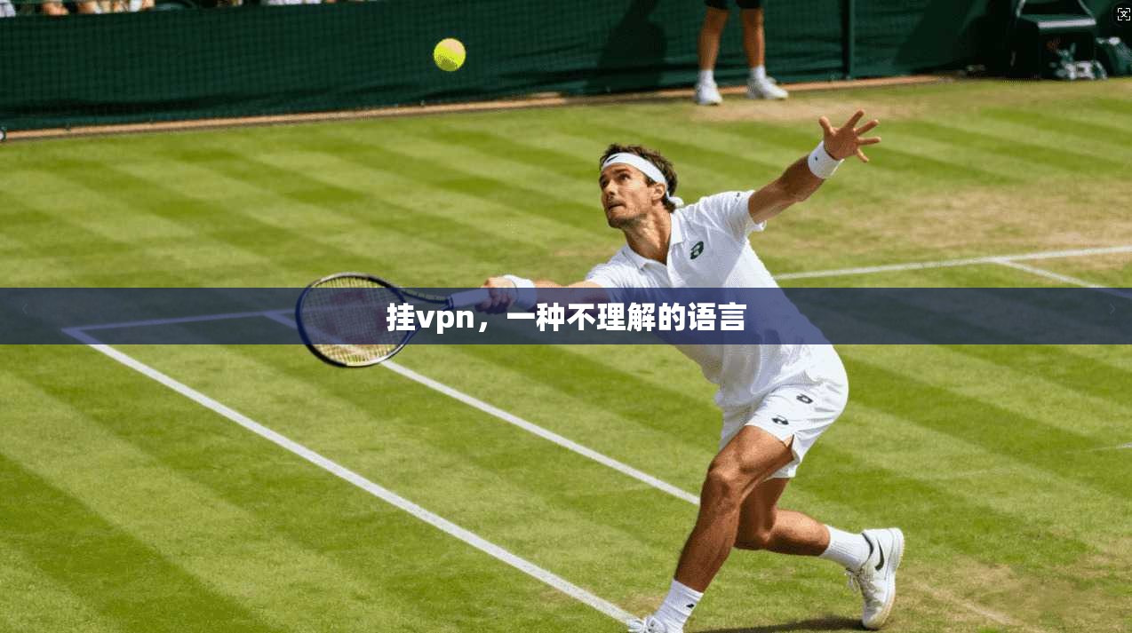 挂vpn，一种不理解的语言