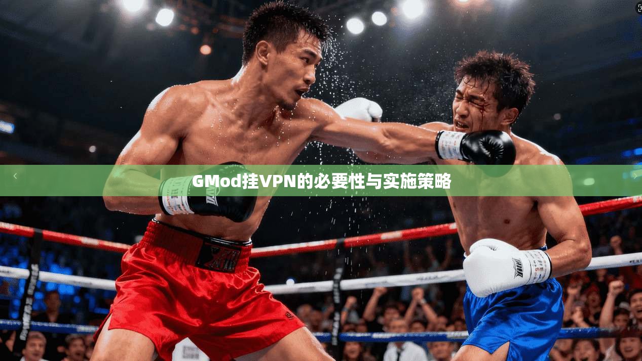GMod挂VPN的必要性与实施策略