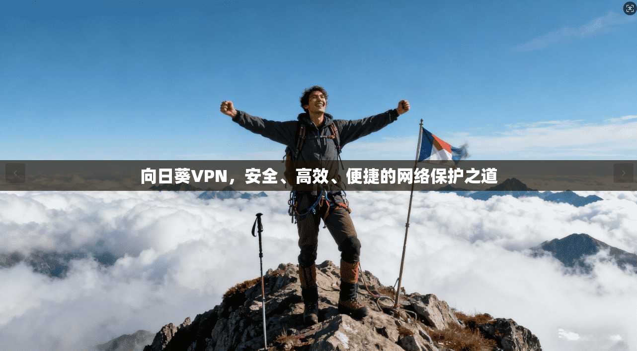 向日葵VPN，安全、高效、便捷的网络保护之道