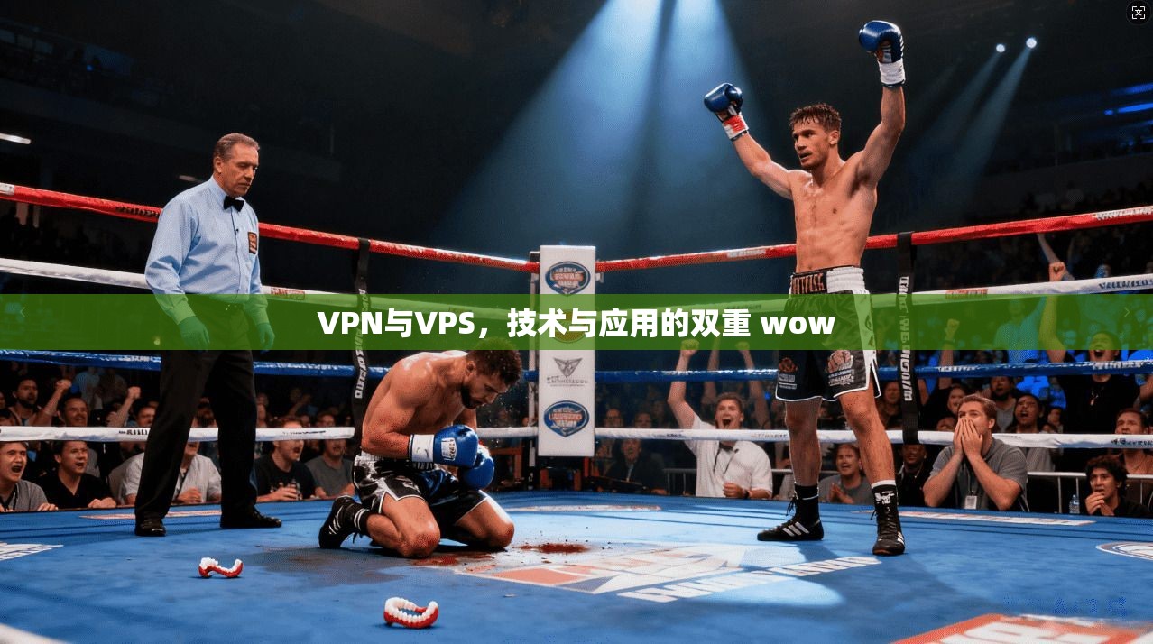 VPN与VPS，技术与应用的双重 wow