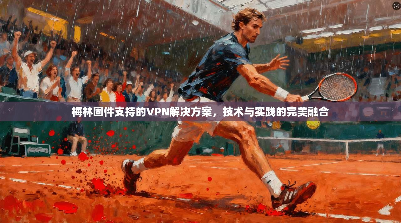 梅林固件支持的VPN解决方案，技术与实践的完美融合