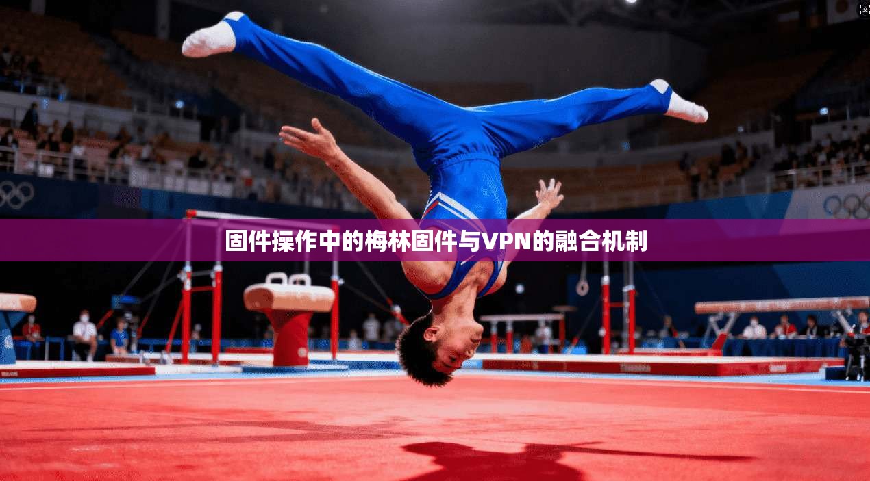 固件操作中的梅林固件与VPN的融合机制