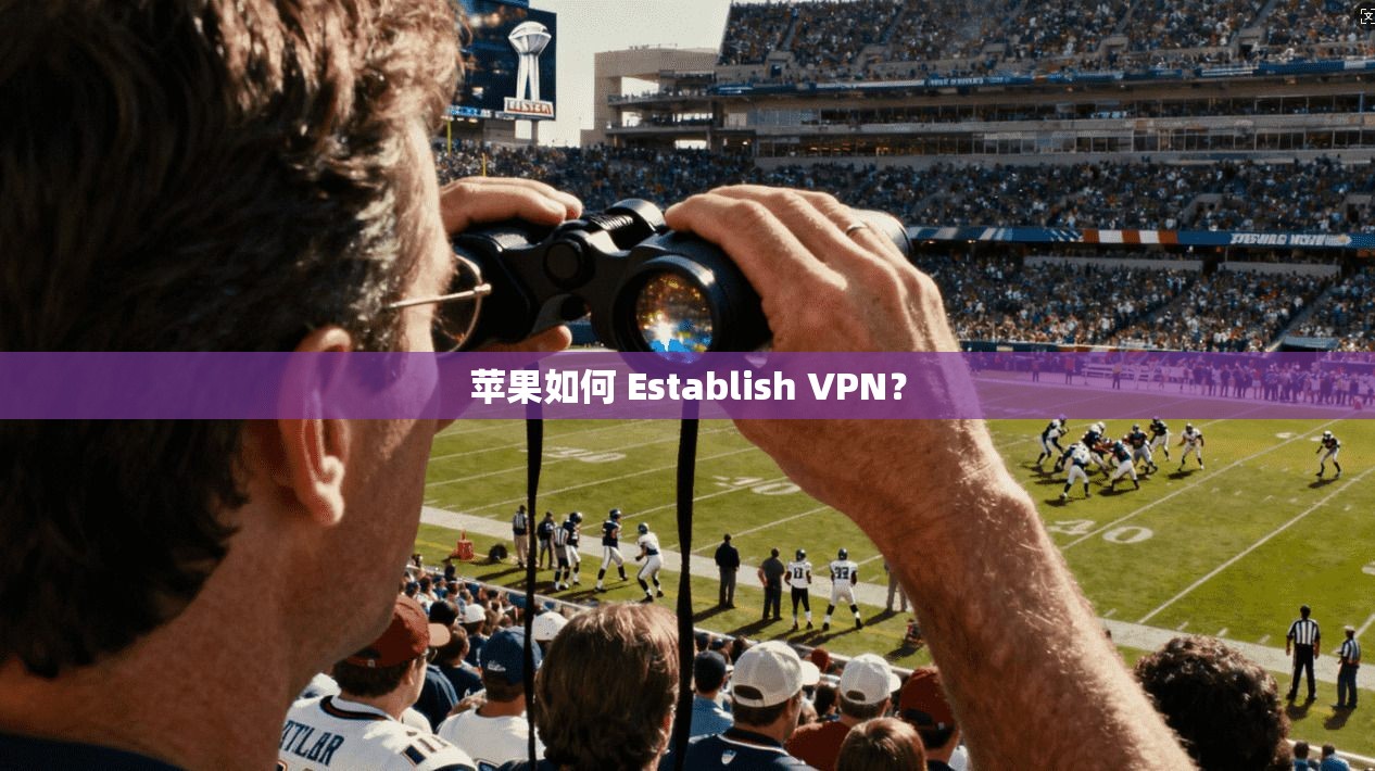 苹果如何 Establish VPN？