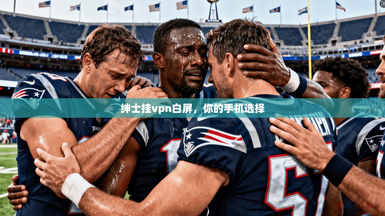 绅士挂vpn白屏，你的手机选择