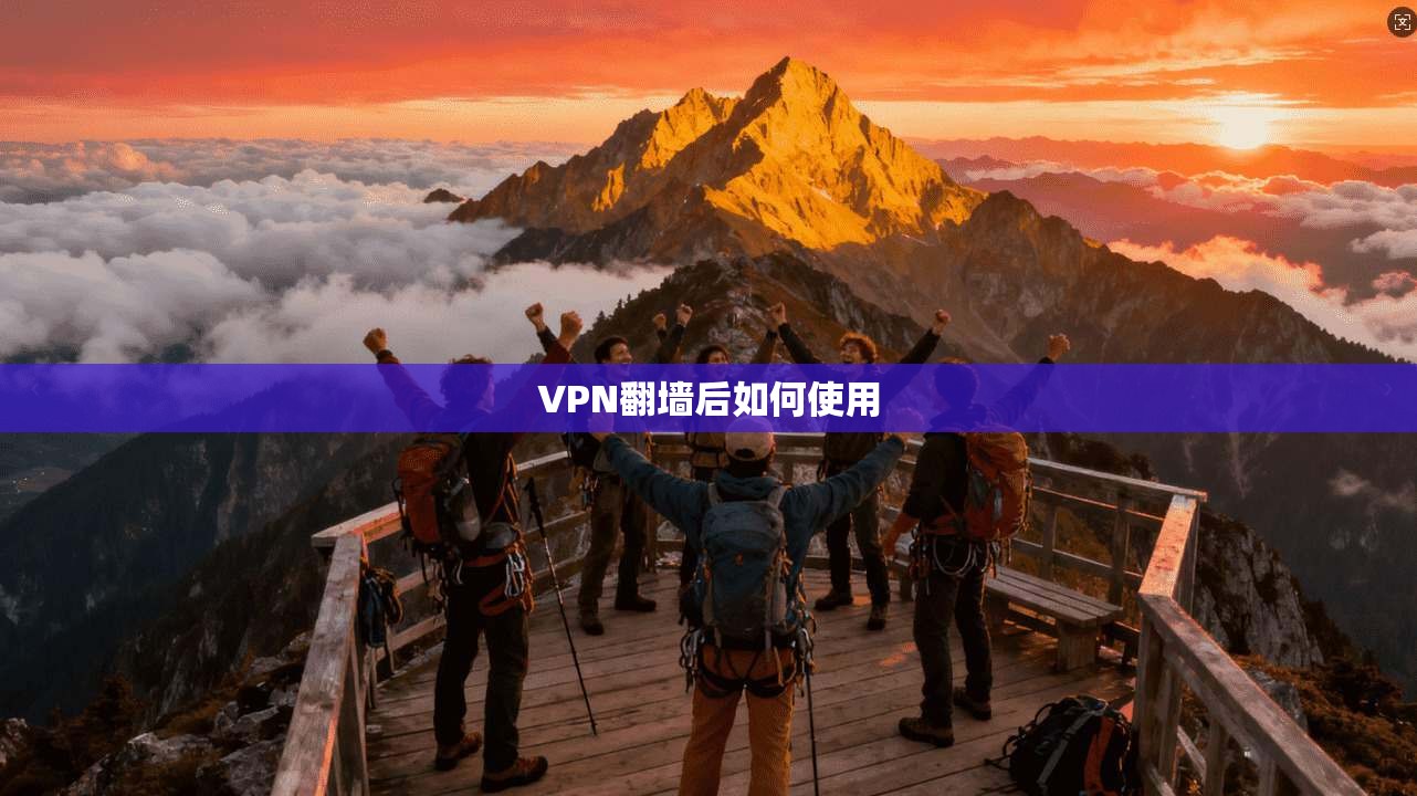 VPN翻墙后如何使用