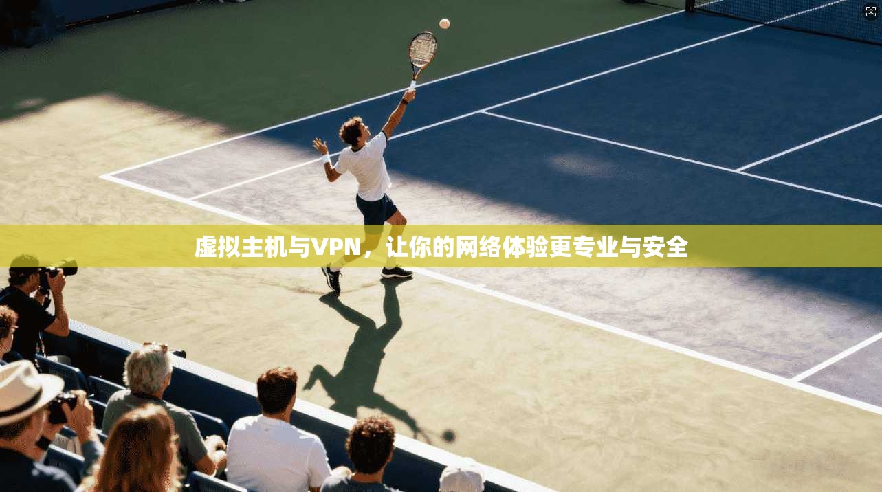 虚拟主机与VPN，让你的网络体验更专业与安全