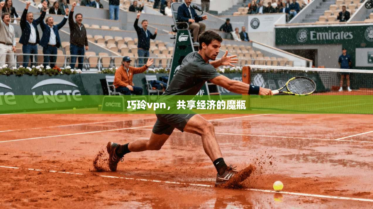 巧玲vpn，共享经济的魔瓶
