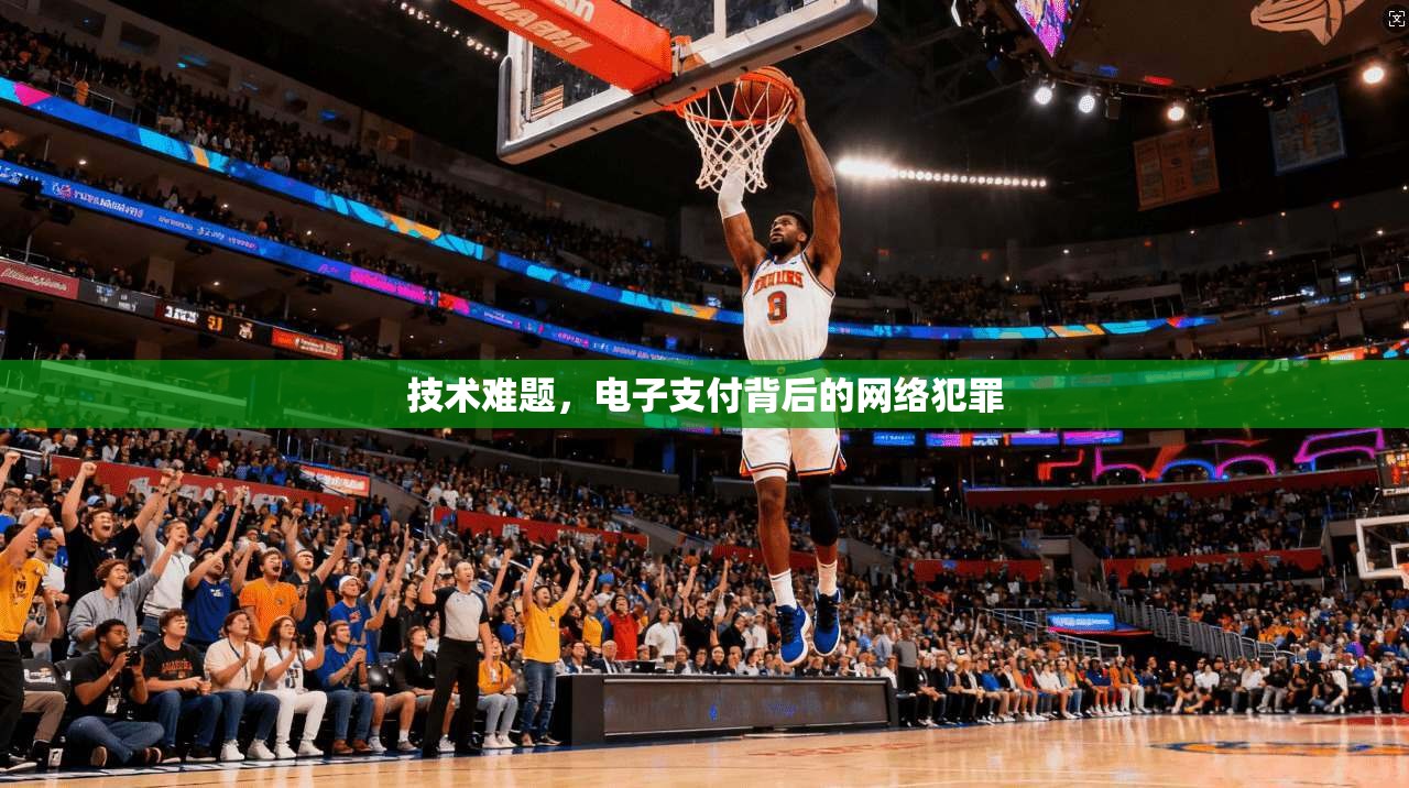 技术难题，电子支付背后的网络犯罪