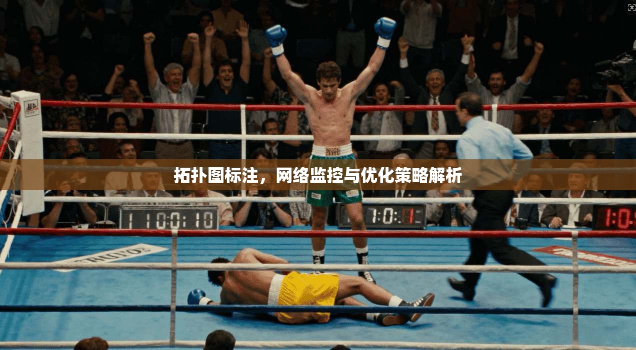 拓扑图标注，网络监控与优化策略解析