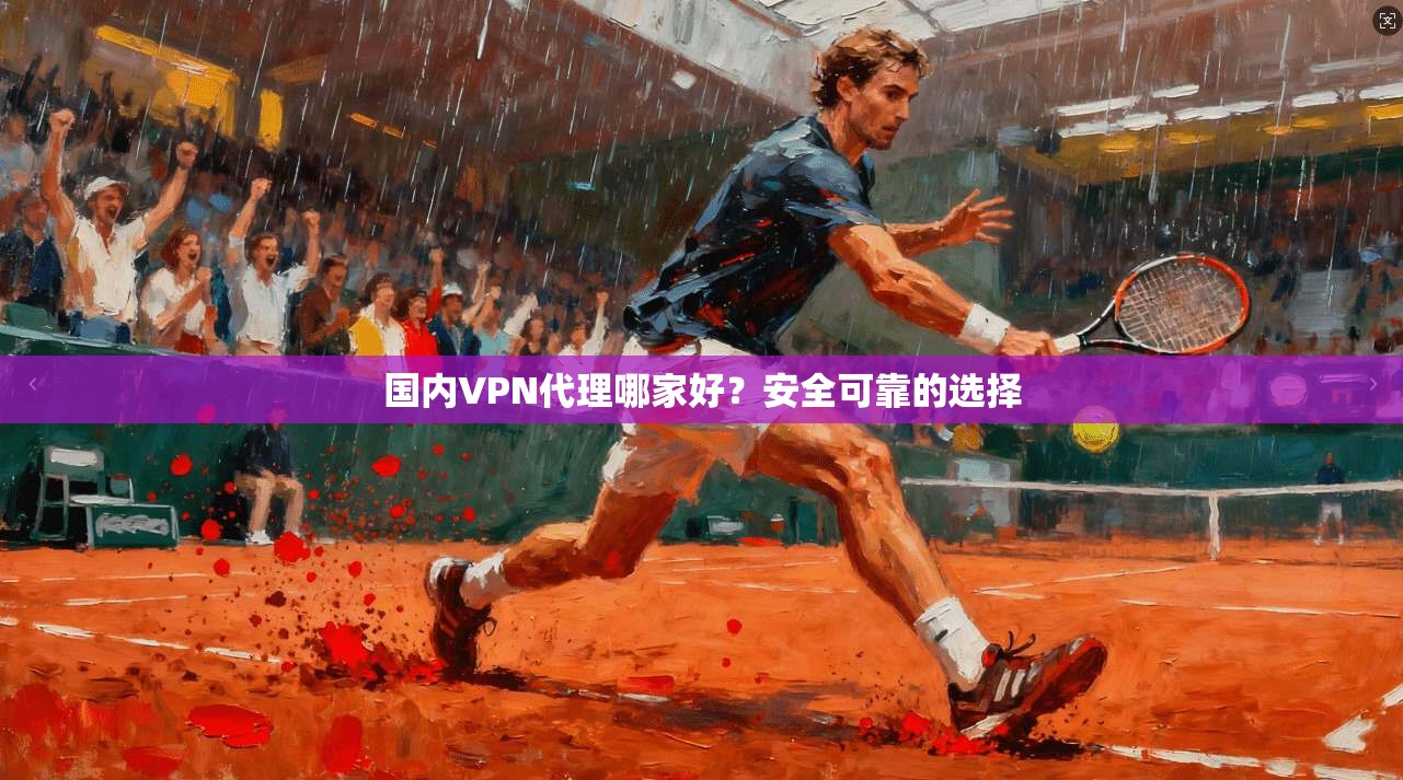 国内VPN代理哪家好？安全可靠的选择
