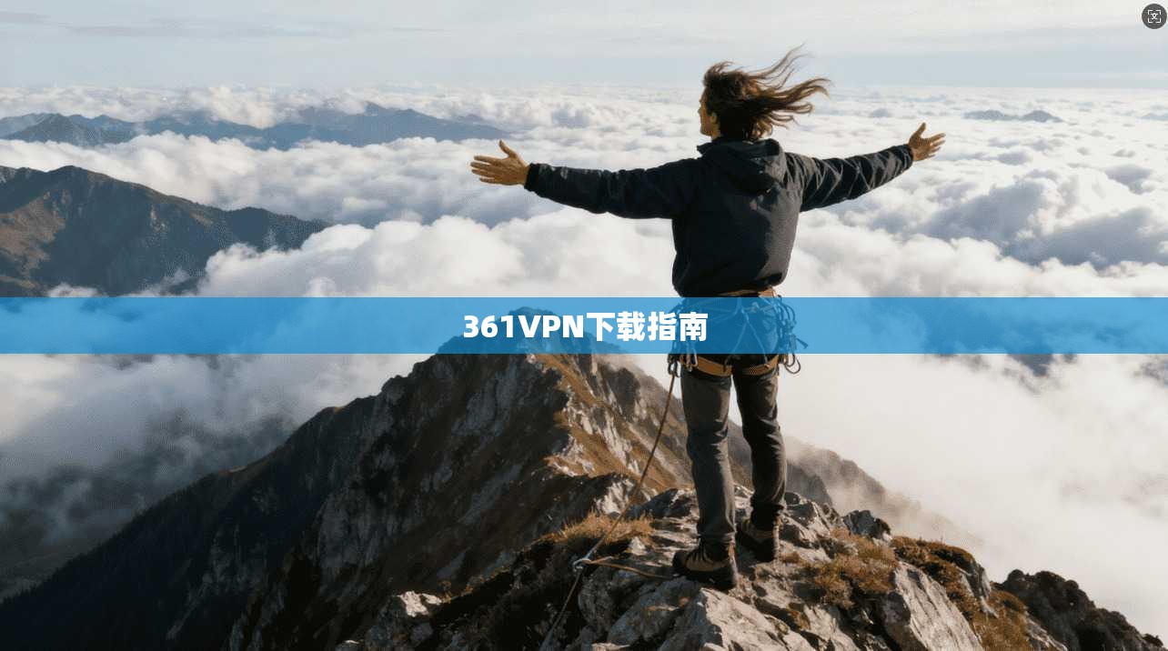 361VPN下载指南
