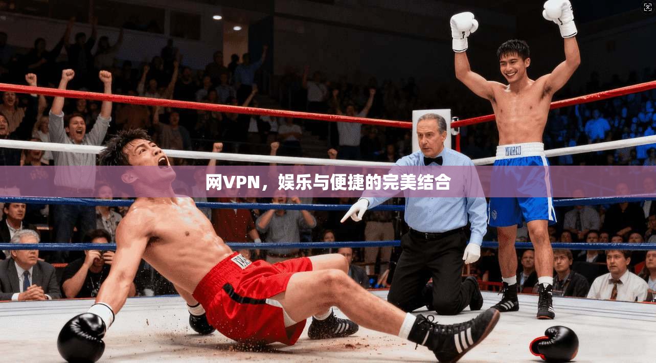 网VPN，娱乐与便捷的完美结合
