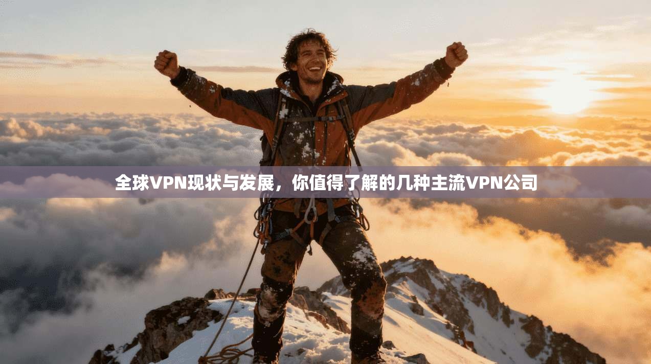 全球VPN现状与发展,你值得了解的几种主流VPN公司