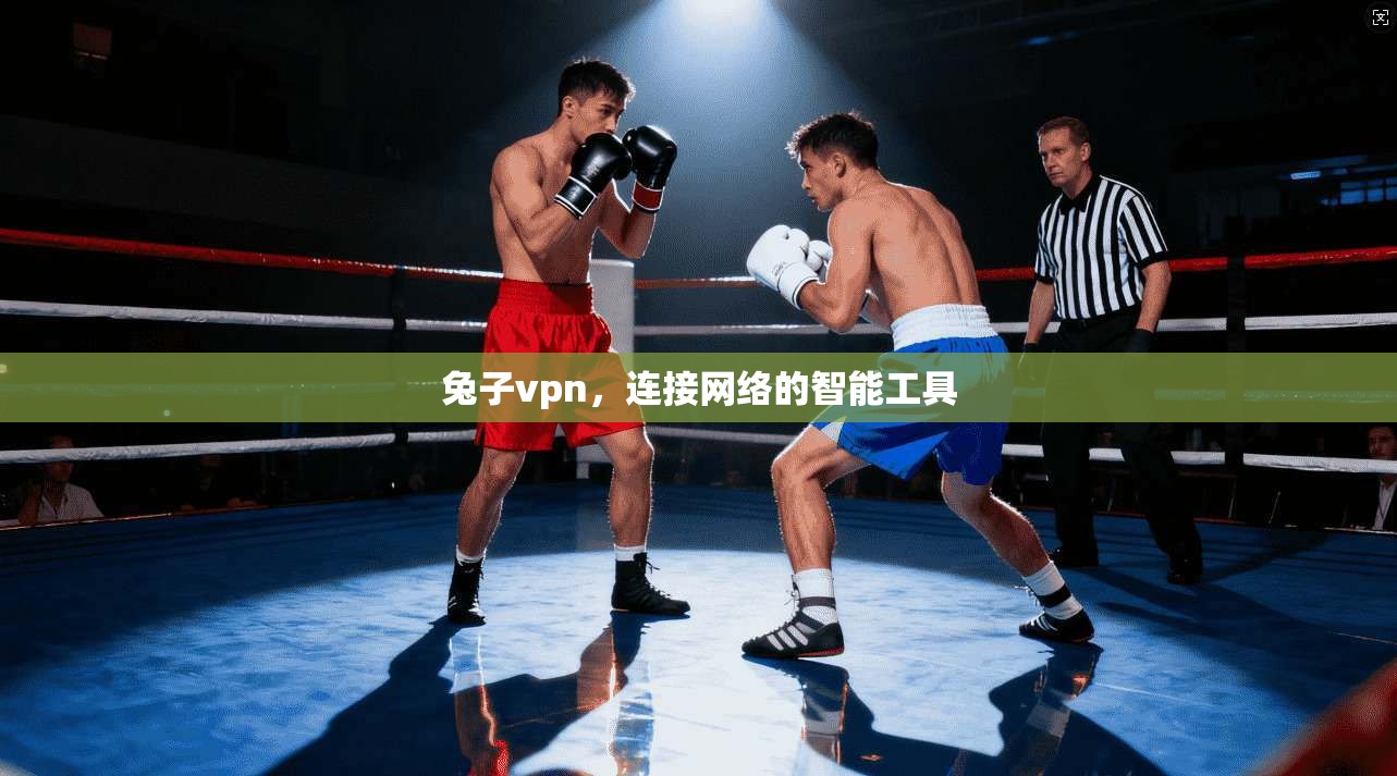 兔子vpn，连接网络的智能工具