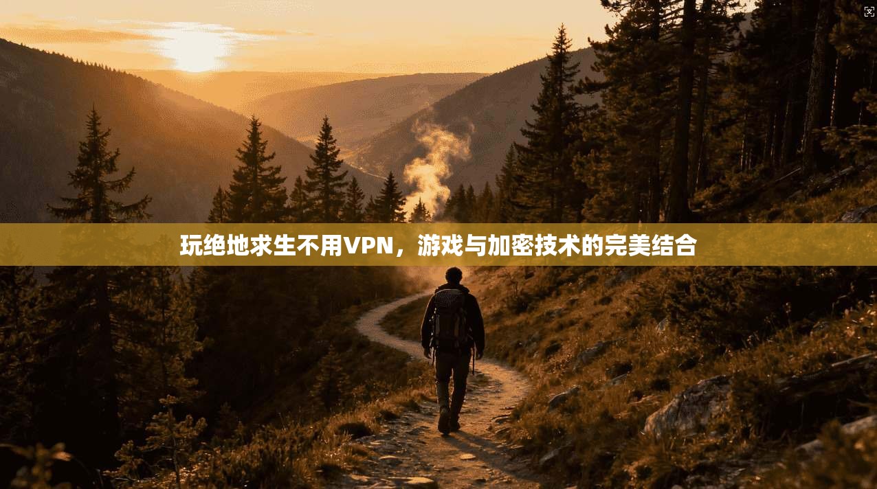 玩绝地求生不用VPN，游戏与加密技术的完美结合