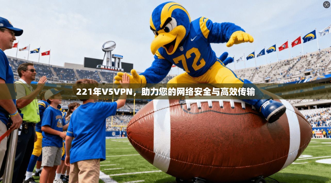 221年V5VPN，助力您的网络安全与高效传输
