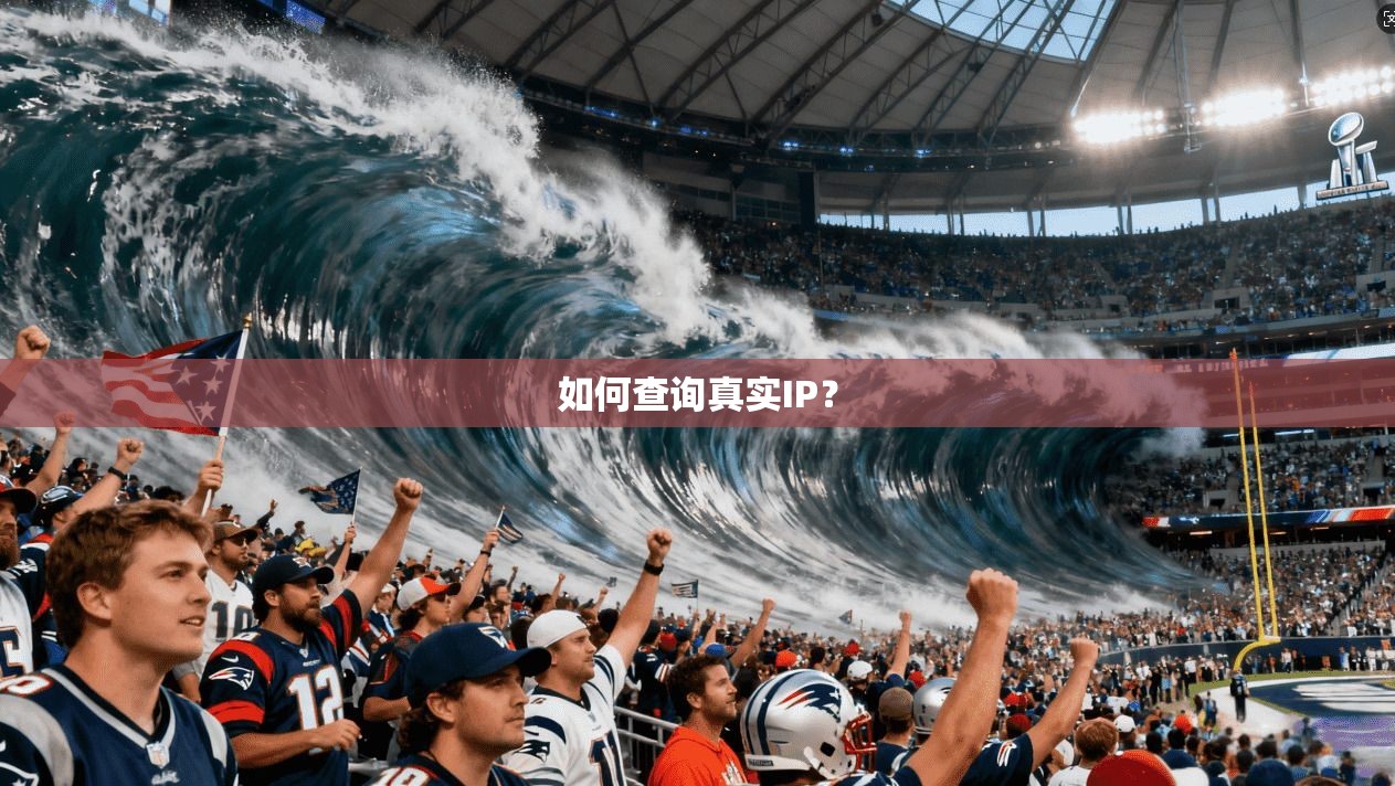 如何查询真实IP?