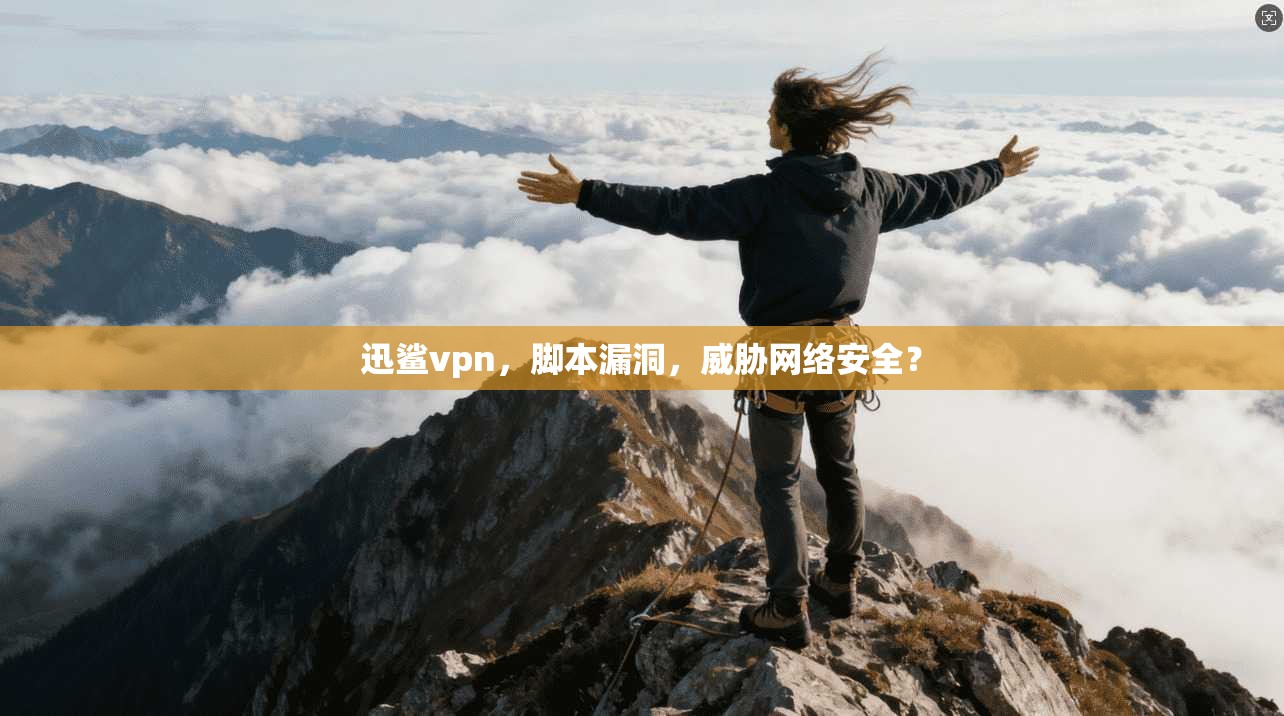 迅鲨vpn，脚本漏洞，威胁网络安全？