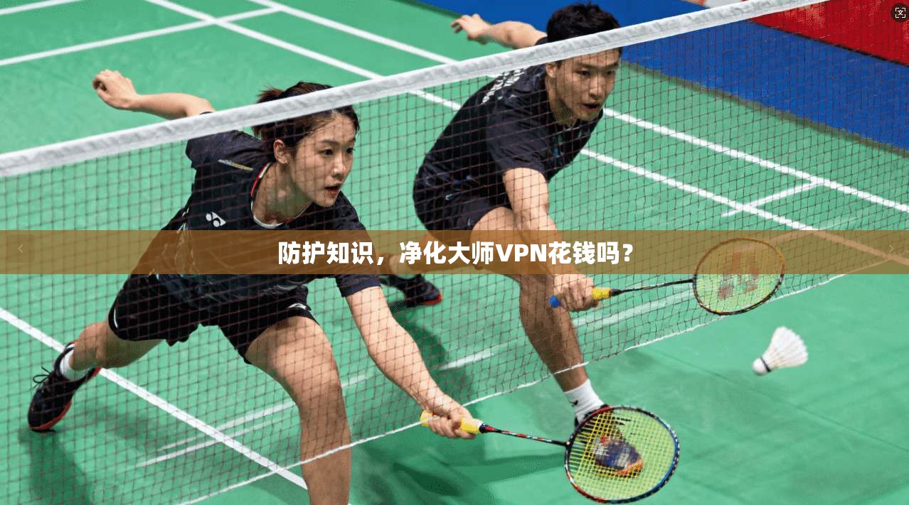 防护知识，净化大师VPN花钱吗？