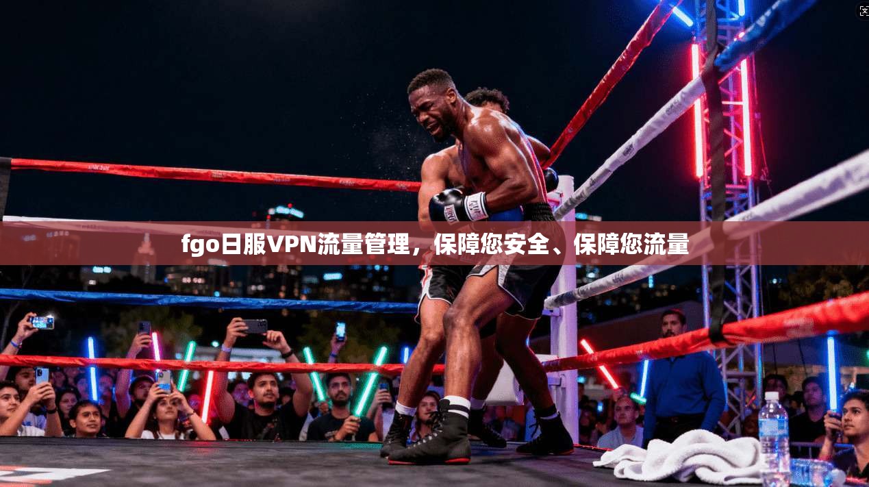 fgo日服VPN流量管理，保障您安全、保障您流量