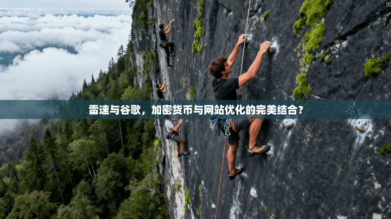 雷速与谷歌，加密货币与网站优化的完美结合？