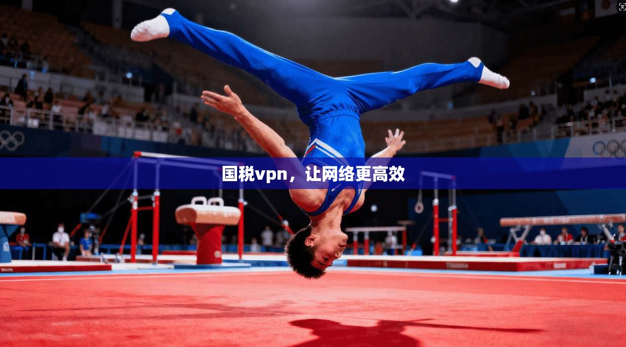 国税vpn，让网络更高效