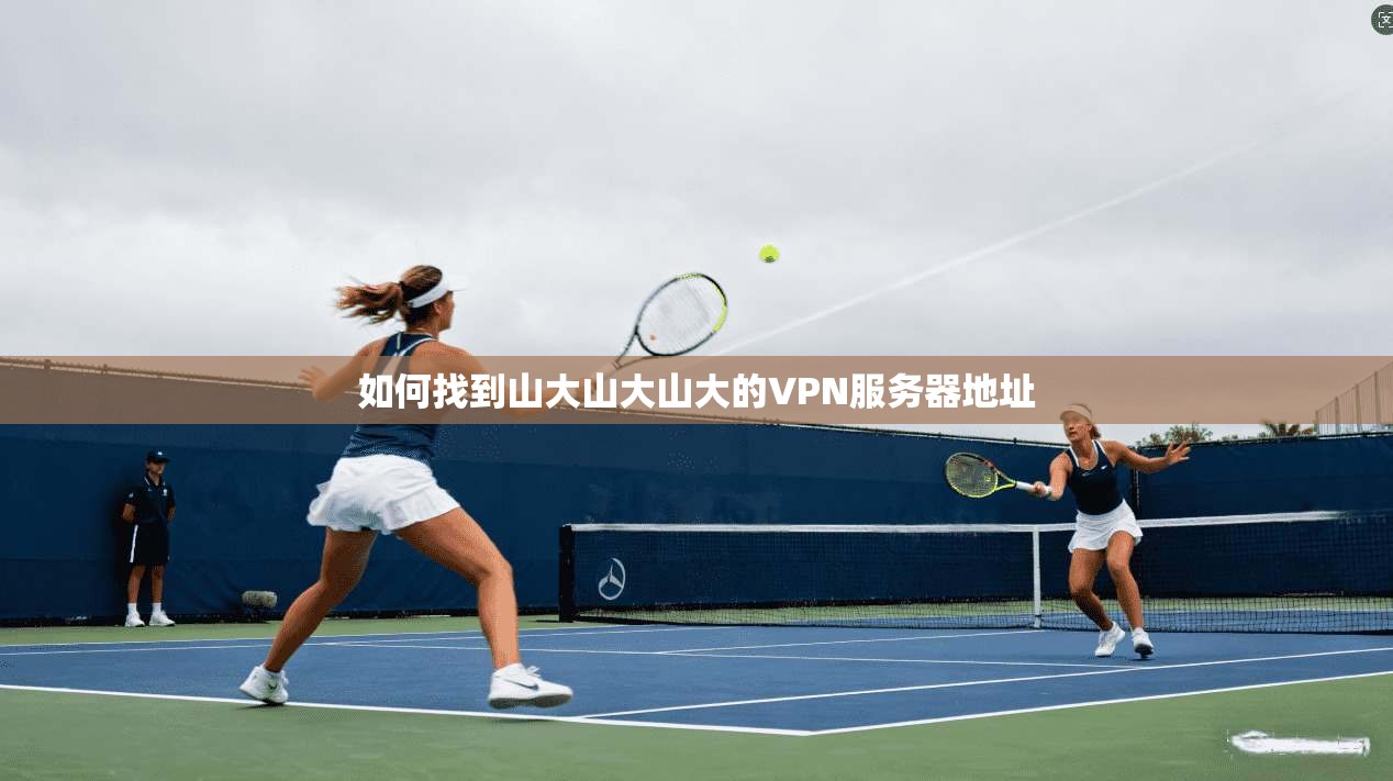 如何找到山大山大山大的VPN服务器地址