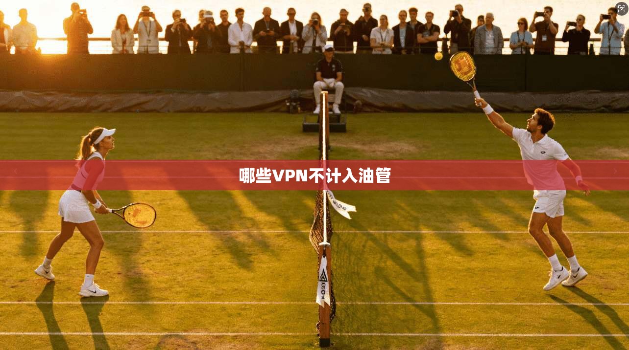 哪些VPN不计入油管