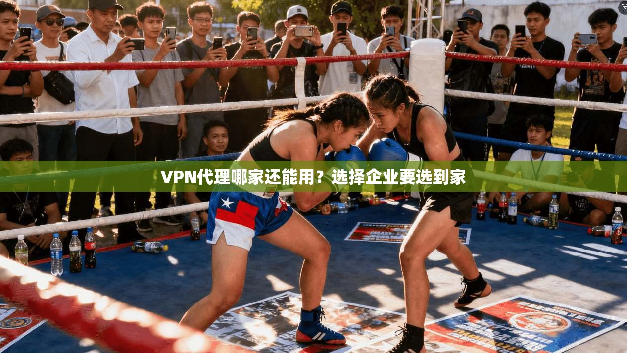VPN代理哪家还能用？选择企业要选到家