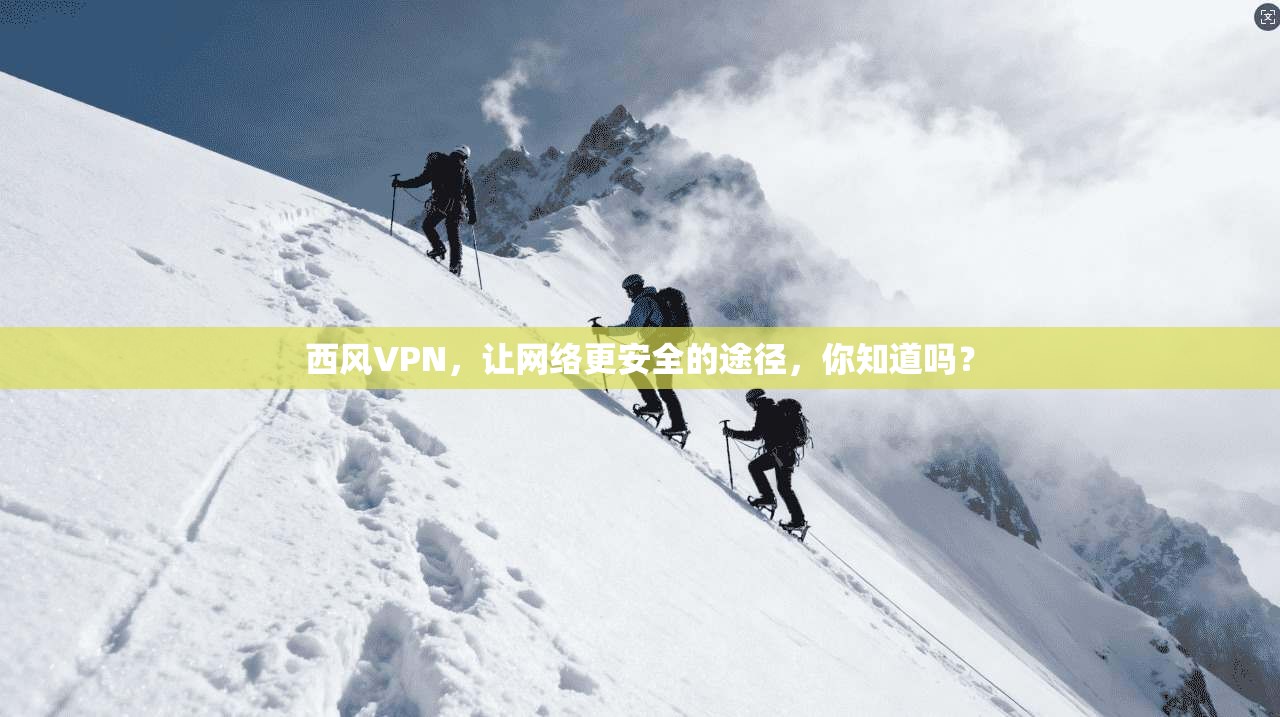 西风VPN，让网络更安全的途径，你知道吗？