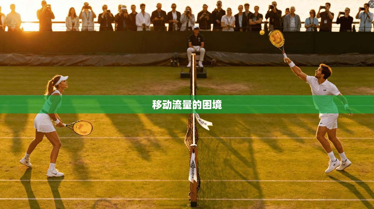 移动流量的困境