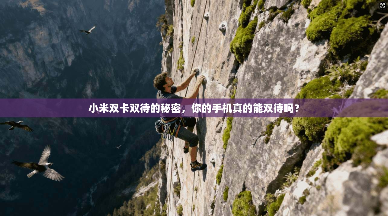 小米双卡双待的秘密，你的手机真的能双待吗？