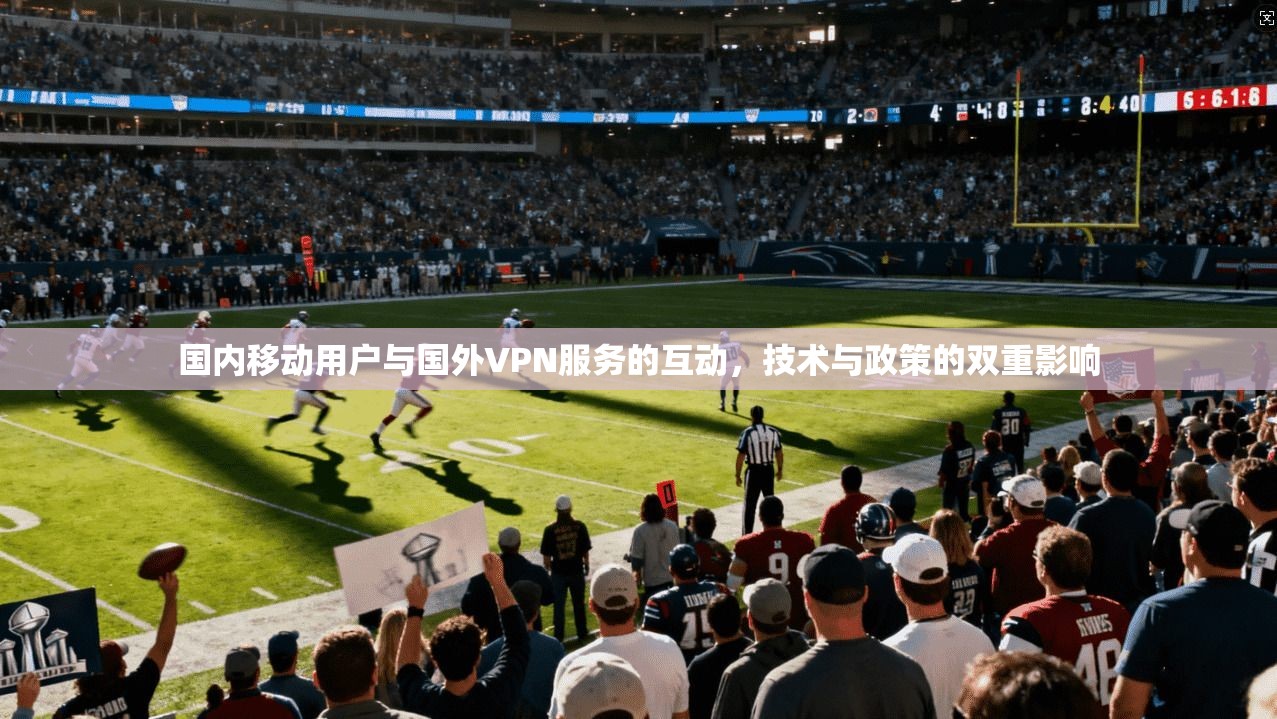 国内移动用户与国外VPN服务的互动，技术与政策的双重影响