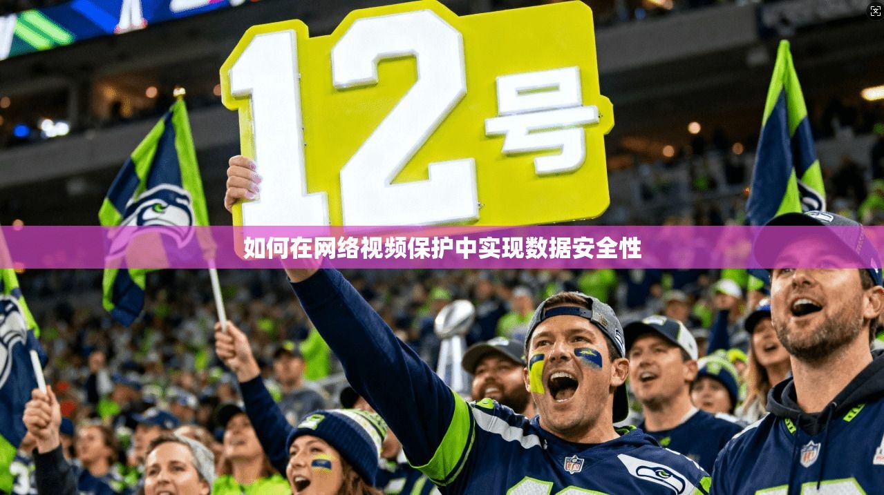如何在网络视频保护中实现数据安全性